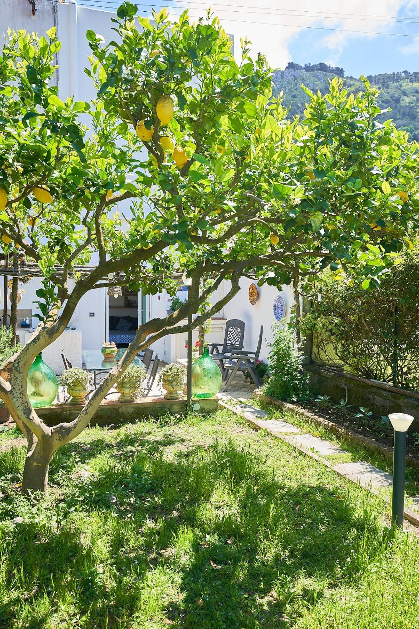 Hotel Il Cellaio Anacapri  Exterior foto